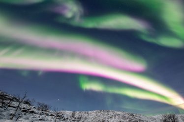 Des aurores roses et orange super rares surprennent à nouveau les observateurs du ciel norvégiens - 5