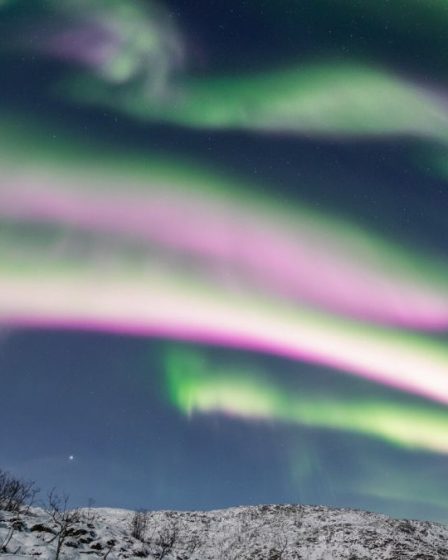 Des aurores roses et orange super rares surprennent à nouveau les observateurs du ciel norvégiens 25 Des aurores roses et orange super rares surprennent à nouveau les observateurs du ciel norvégiens - 24