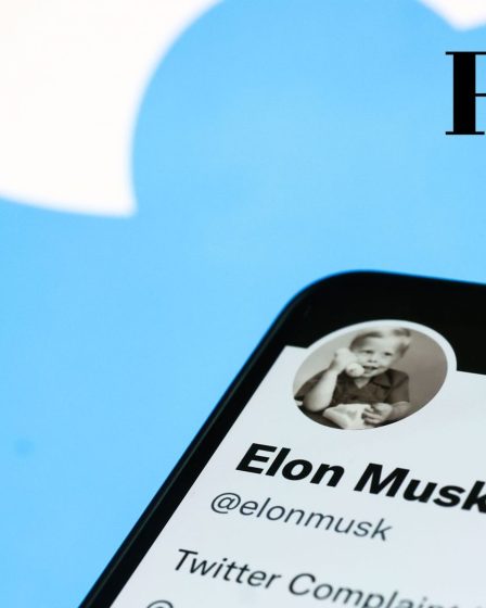 quelles sont ces "révélations" sur le réseau social que diffuse Elon Musk ? 62 quelles sont ces "révélations" sur le réseau social que diffuse Elon Musk ? - 61