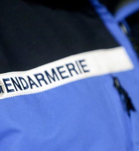 Avertis d'un cambriolage, les gendarmes font une surprenante découverte près de Toulouse. - 7