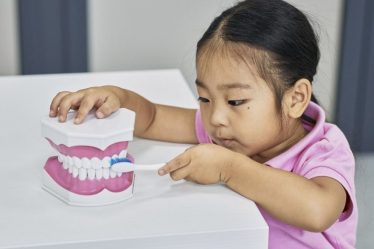 Pourquoi avons-nous des dents de lait ? - 9