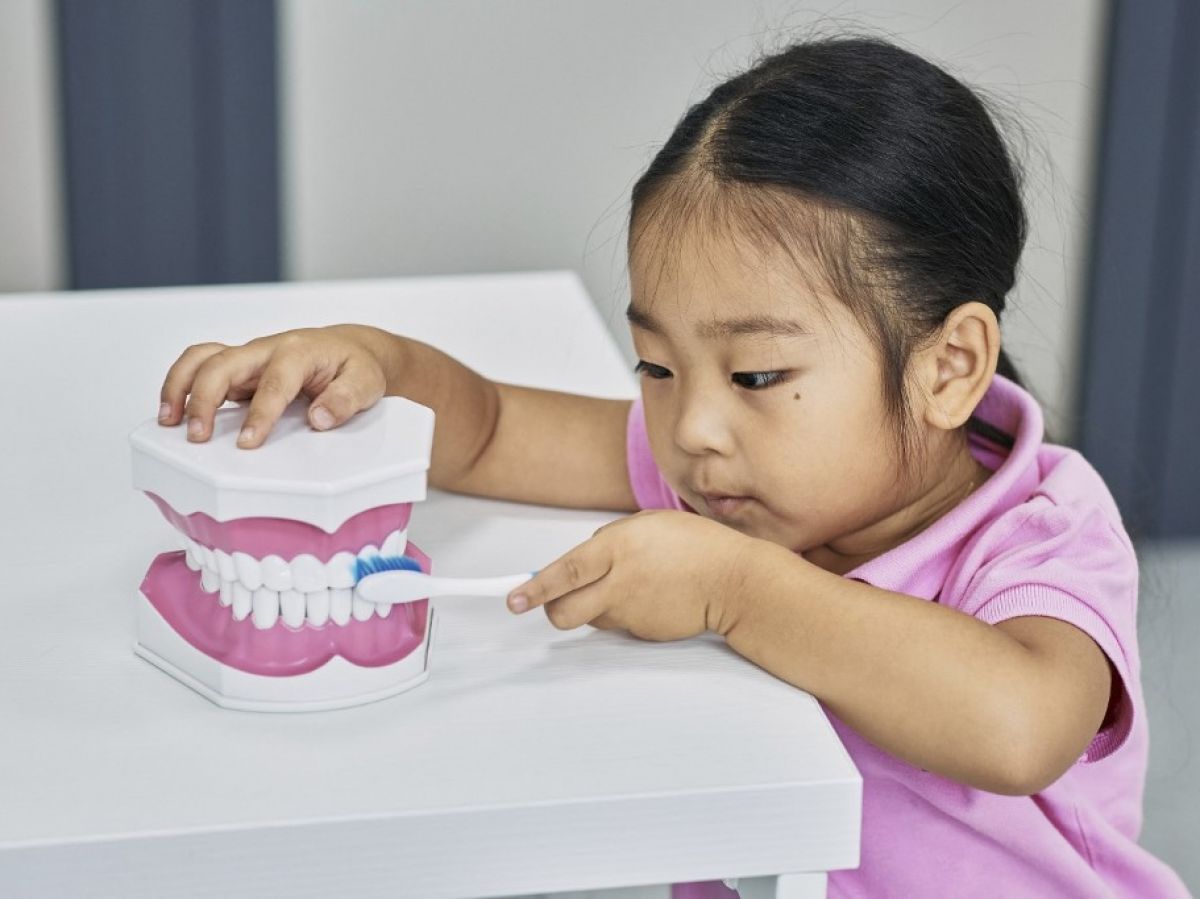 Pourquoi avons-nous des dents de lait ? 2 Pourquoi avons-nous des dents de lait ? - 1