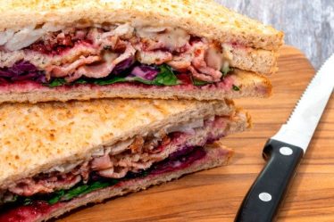 Les meilleurs conseils scientifiques pour préparer un sandwich aux restes de dinde de Noël - 7