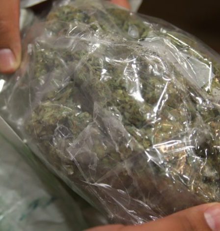 il jette des pains de cannabis par la fenêtre, ils atterrissent dans la cour de l'école › 2 il jette des pains de cannabis par la fenêtre, ils atterrissent dans la cour de l'école › - 1
