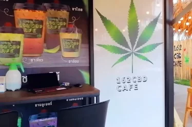 10 choses que les touristes devraient savoir sur le cannabis en Thaïlande - 6