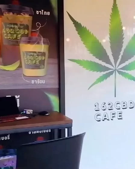 10 choses que les touristes devraient savoir sur le cannabis en Thaïlande 37 10 choses que les touristes devraient savoir sur le cannabis en Thaïlande - 36