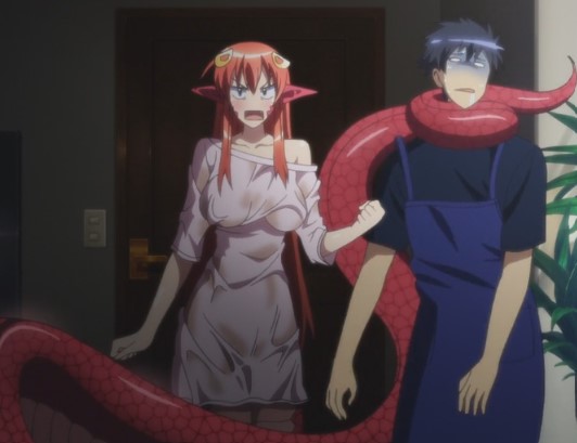 Top 15 des meilleurs anime Ecchi sur Crunchyroll, Netflix et Funimation 20 Monster Musume: La vie quotidienne avec Monster Girls