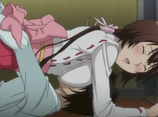 Top 15 des meilleurs anime Ecchi sur Crunchyroll, Netflix et Funimation 21 Sekirei