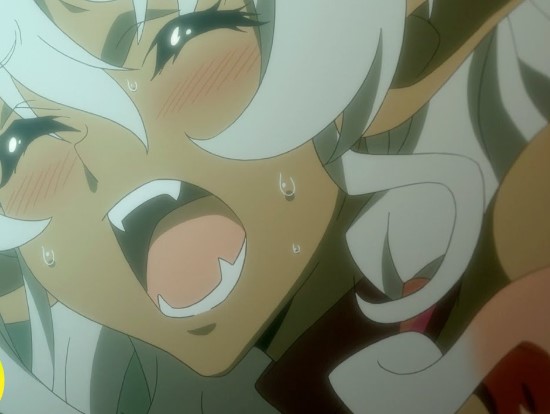 Top 15 des meilleurs anime Ecchi sur Crunchyroll, Netflix et Funimation 24 Les combattants seront expédiés !