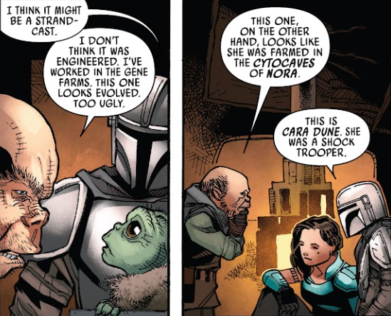 Critique du Comic #7 'The Mandalorian' : L'épisode "The Reckoning" capture l'intensité de l'avant-dernier épisode de la saison 1 - Star Wars News Net 7 Critique du Comic #7 'The Mandalorian' : L'épisode "The Reckoning" capture l'intensité de l'avant-dernier épisode de la saison 1 - Star Wars News Net - 6