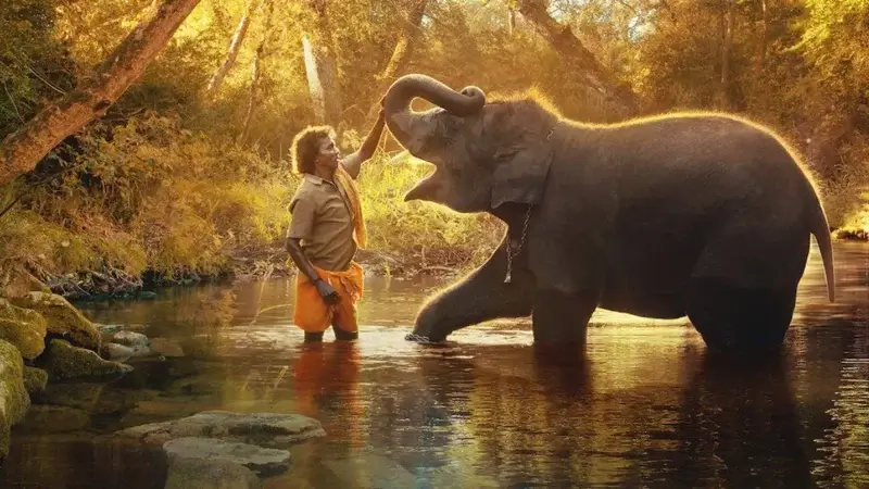 les chuchoteurs d'éléphants