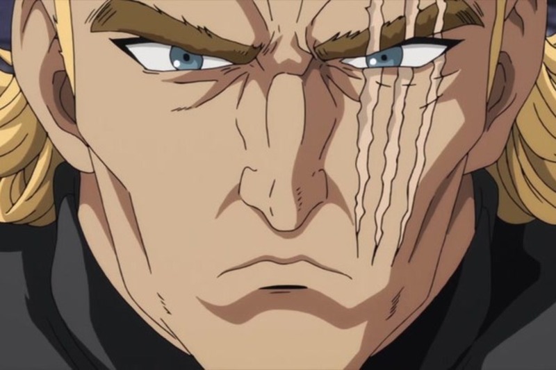 Top 15 des personnages masculins les plus sexy de One Punch Man (classés en 2023) 7 Roi