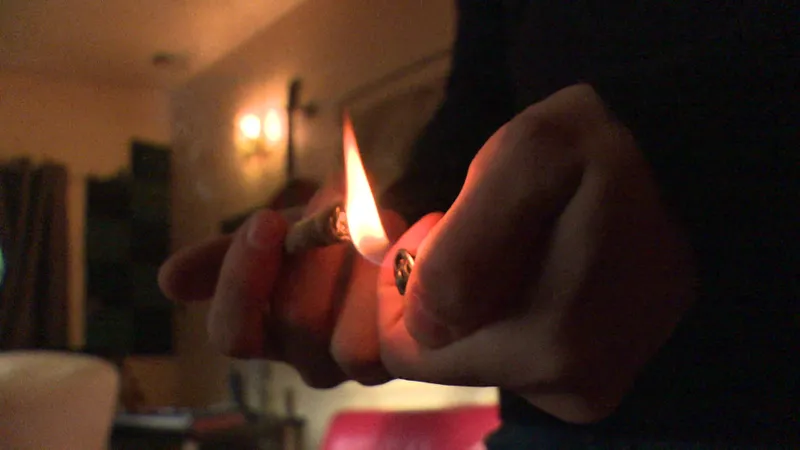 Le maire de Bègle veut expérimenter de vraies politiques de prévention 3 Un million de personnes consomment du cannabis chaque jour en France