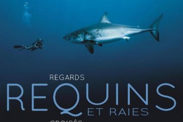 LIVRE. Plongée intimiste avec raies et requins - 7