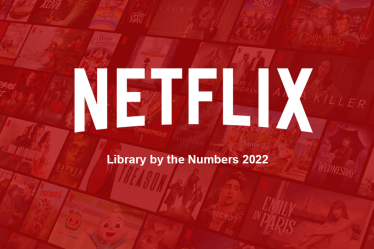 Bibliothèque Netflix en chiffres 2022 - 8