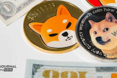 il détourne des millions pour s'offrir DOGE - 5