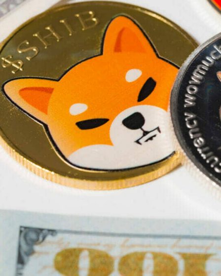 il détourne des millions pour s'offrir DOGE 66 il détourne des millions pour s'offrir DOGE - 65
