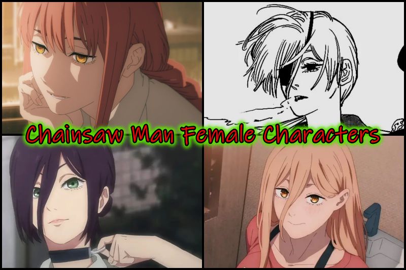 20 personnages féminins les plus sexy de Chainsaw Man (classés en 2023) | Actualisé 2 20 personnages féminins les plus sexy de Chainsaw Man (classés en 2023) | Actualisé - 1
