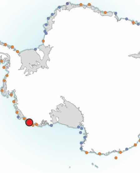 Découverte d'une colonie "cachée" de manchots empereurs en Antarctique (depuis l'espace) - 49