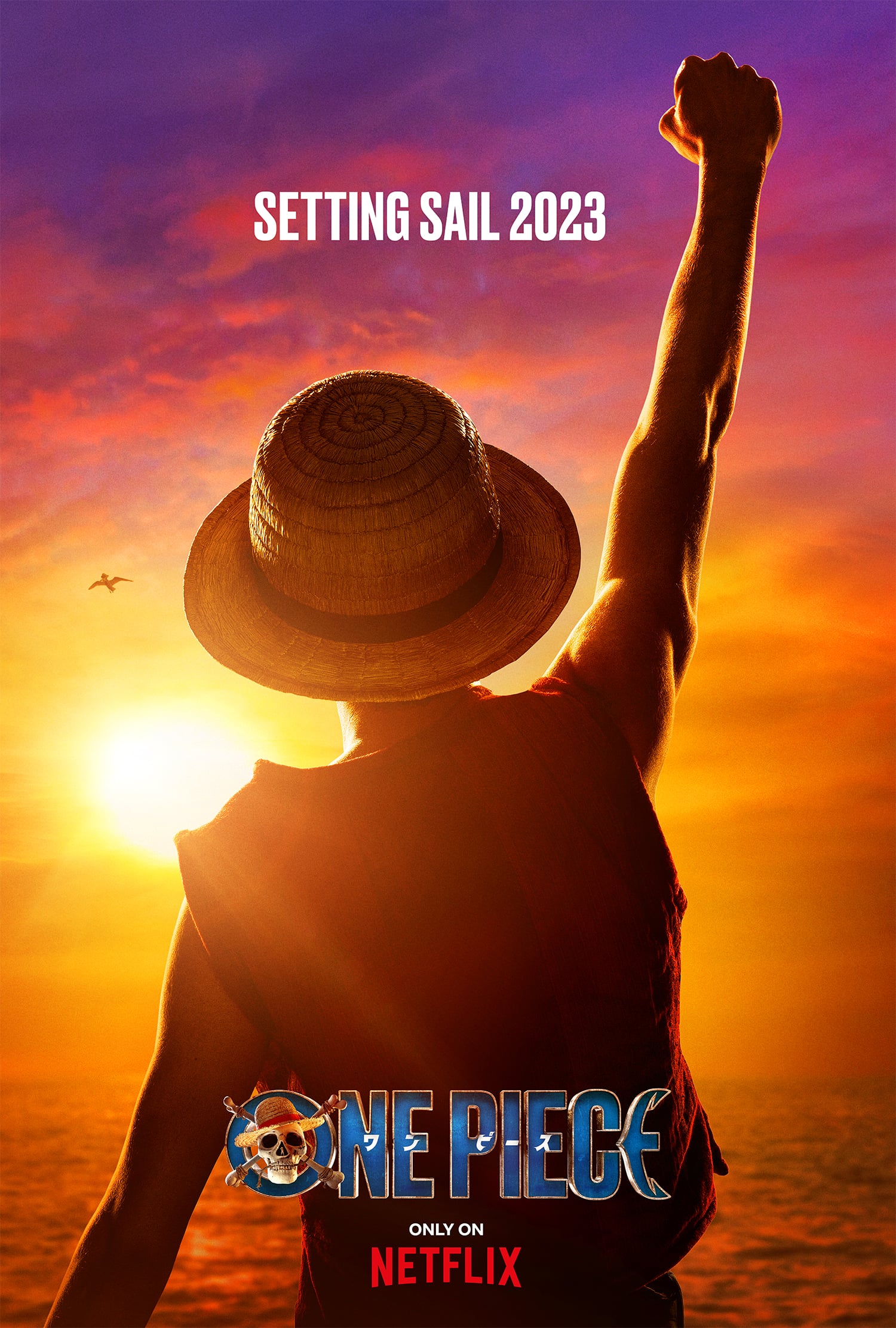 Affiche de la série One Piece de Netflix Affiche de la série One Piece de Netflix