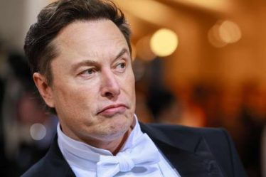 Elon Musk a frappé le livre Guinness des records pour la plus grande perte de richesse personnelle de l'histoire - 6