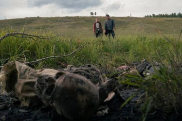 HBO renouvelle The Last of Us pour une saison 2 ! - 5