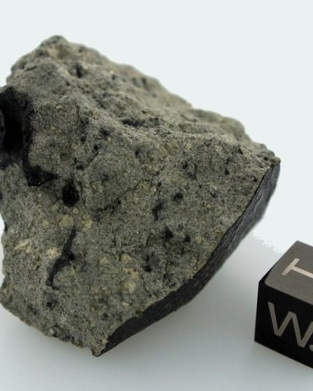 Une météorite martienne avec des molécules organiques fournit des indices sur les chances d'une vie ancienne 14 Une météorite martienne avec des molécules organiques fournit des indices sur les chances d'une vie ancienne - 13