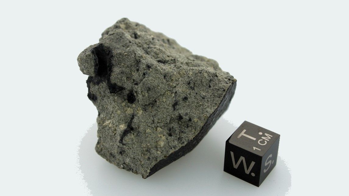 Une météorite martienne avec des molécules organiques fournit des indices sur les chances d'une vie ancienne 2 Une météorite martienne avec des molécules organiques fournit des indices sur les chances d'une vie ancienne - 1