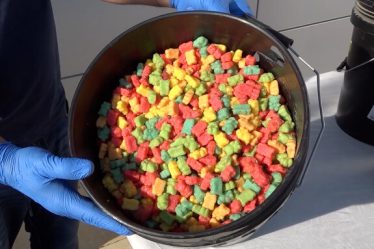 Vendu aux enfants ? Un quart de tonne d'oursons gommeux contenant du cannabis saisi à Netivot - 8