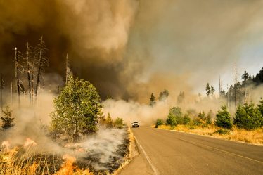 Conseils pour protéger votre maison des catastrophes naturelles - 4