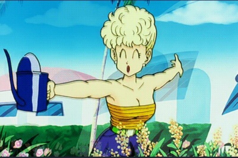 Top 10 des plus sexy Dragon Ball Z Personnages féminins (2023) 8 Bikini
