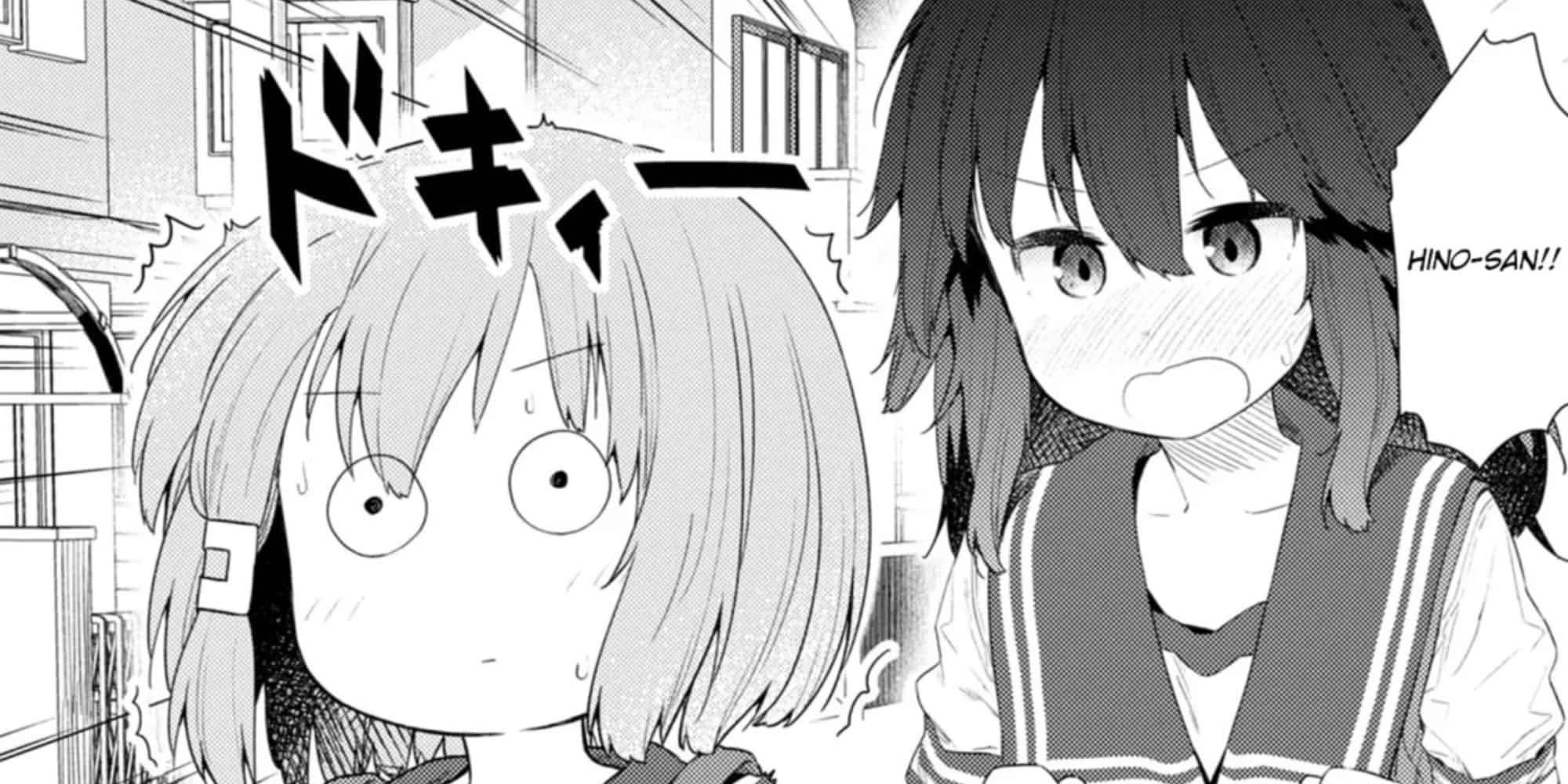 Hino San No Baka 102