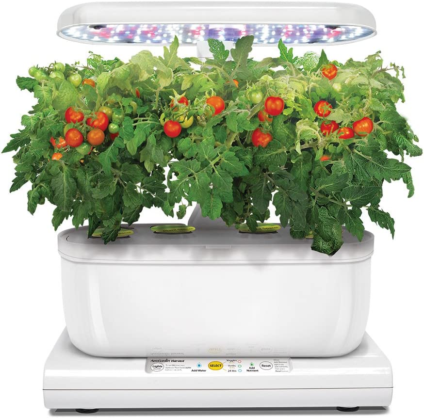 Cultivez vos propres fruits et légumes avec ce potager connecté 4 potager connecté