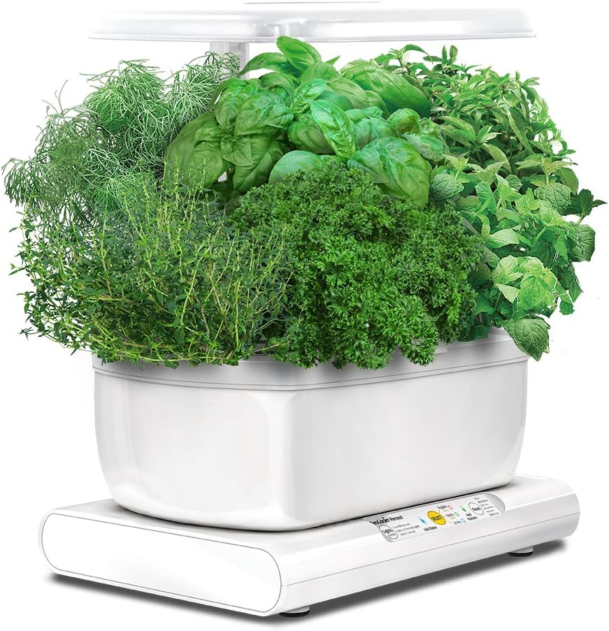 Cultivez vos propres fruits et légumes avec ce potager connecté 3 potager connecté