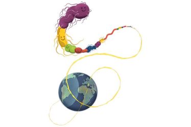 Empilés les uns sur les autres, quelle serait la taille de tous les germes et bactéries du monde ? - 5
