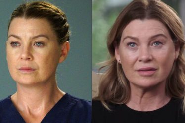 Les fans de Grey's Anatomy qualifient l'épisode d'adieu d'Ellen Pompeo de "pire épisode de tous les temps" - 17