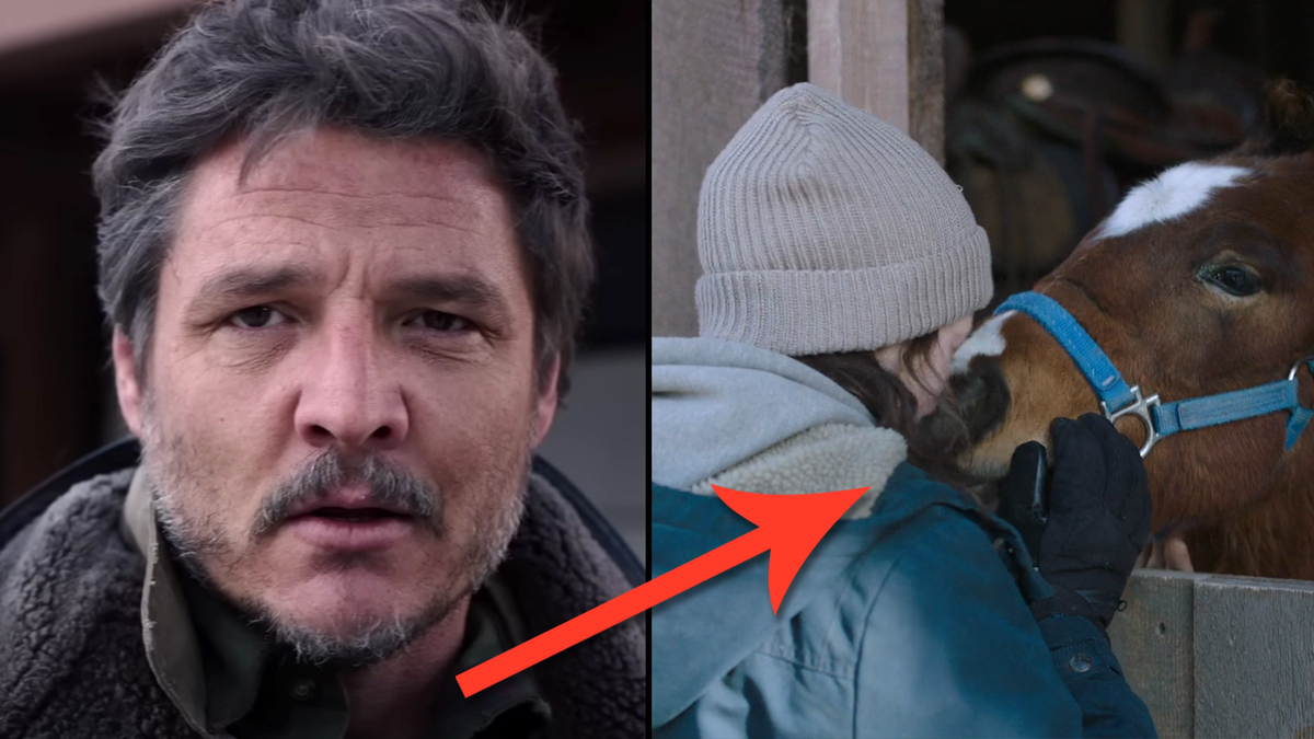 Les téléspectateurs de The Last of Us repèrent une deuxième erreur de montage avec Ellie et le cheval 2 Les téléspectateurs de The Last of Us repèrent une deuxième erreur de montage avec Ellie et le cheval - 1