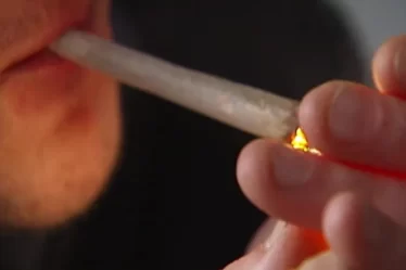 Bègles veut devenir une "ville test" pour réduire la consommation et le commerce - 4