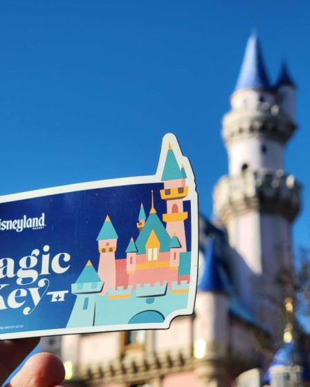 Disneyland Resort suspend à nouveau la vente des laissez-passer Believe Magic Key - WDW News Today - 39