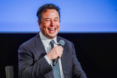 Elon Musk ne sait pas non plus conduire une Tesla - 3