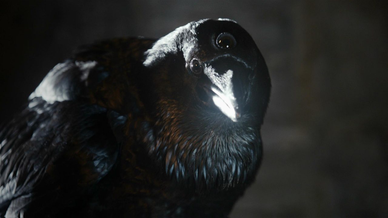 GoT : Bran étant roi n'est rien de plus qu'un cas de mauvaise écriture de Martin 4 GoT : Bran étant roi n'est rien de plus qu'un cas de mauvaise écriture de Martin - 3