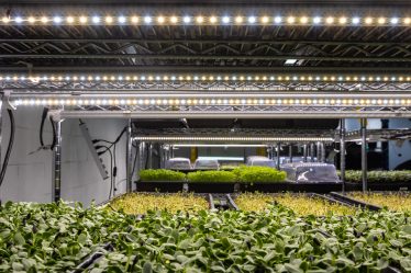 Innovation PME | Soleil à l'intérieur - 3