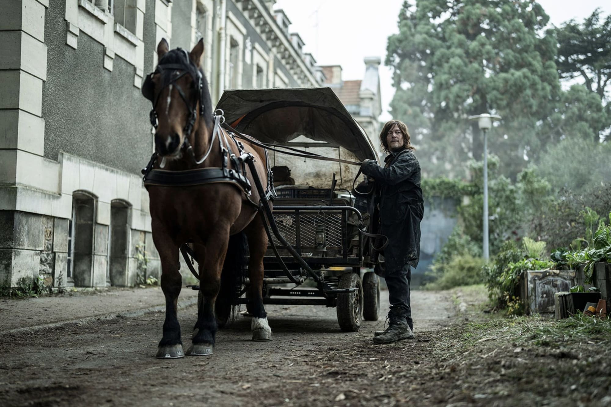 La série dérivée de The Walking Dead de Daryl Dixon ajoute cinq nouveaux membres au casting. 2 La série dérivée de The Walking Dead de Daryl Dixon ajoute cinq nouveaux membres au casting. - 1