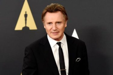 Liam Neeson compare l'UFC à une bagarre de bar et appelle le combattant Conor McGregor - 8