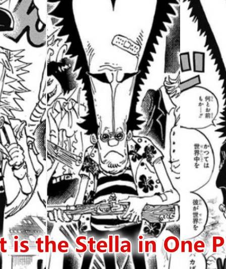 Qu'est-ce que Stella et Qui a attaqué Pythagore dans One Piece Chapitre 1075 ? 40 Qu'est-ce que Stella et Qui a attaqué Pythagore dans One Piece Chapitre 1075 ? - 39