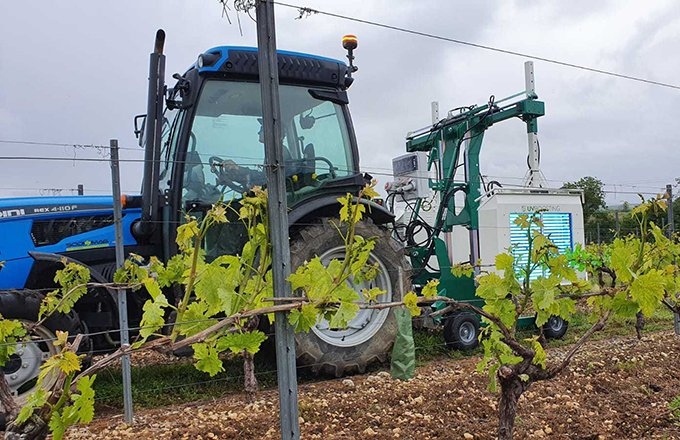 UV Boosting stimule les défenses UV naturelles de la vigne, atténue les effets du gel et du stress hydrique et contribue à réduire jusqu'à 75 % l'utilisation de fongicides.  (Photo gracieuseté de l'amélioration UV)