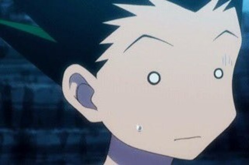 Top 15 des personnages d'anime les plus stupides de tous les temps (classés 2023) 8 Gon Freecs