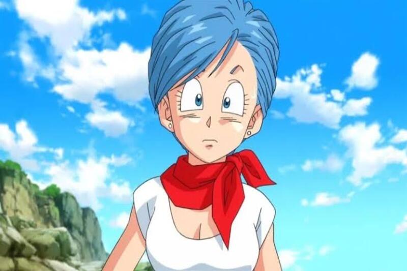 Meilleures 15+ Anime Girls ENTP (Personnages Féminins 2023) 13 Bulma