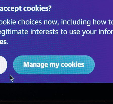 Les cookies du site Web que vous devriez accepter (et ceux qu'il faut toujours éviter), selon un scientifique 69 Les cookies du site Web que vous devriez accepter (et ceux qu'il faut toujours éviter), selon un scientifique - 68