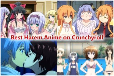Top 10 des meilleurs anime de harem sur Crunchyroll 2021 classés - 22